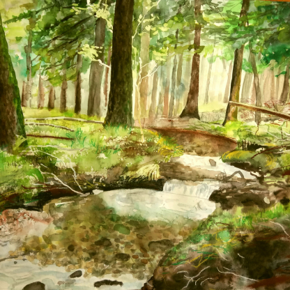 Obraz lesní potok